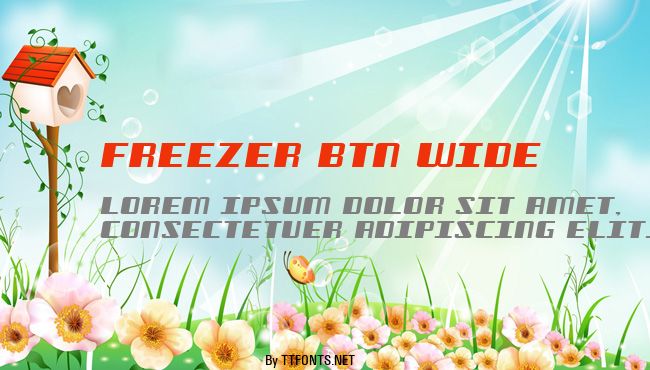 Freezer BTN Wide example